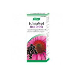Echinamed hot drink concentrado para solucion oral 1 frasco 100 ml